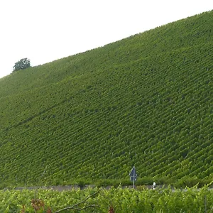Ehemalige Rosengärtnerei , Randersacker Deutschland
